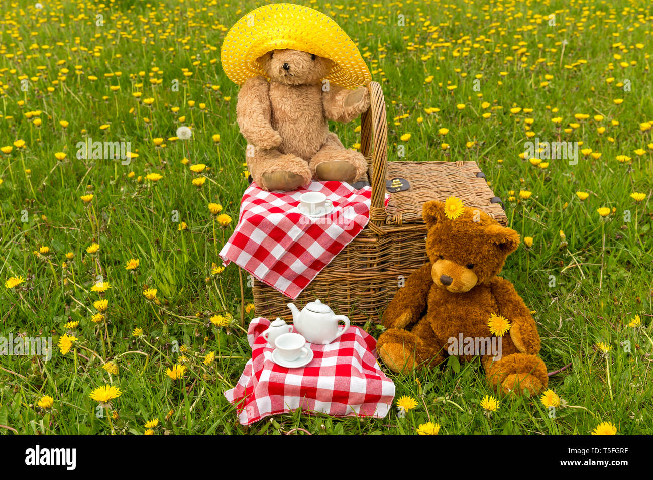 Teddy Bear's Picnic in lush green meadow with yellow flowers.  Traditional wicker basket and red gingham tablecloth.  Horizontal.  Concept: Childhood Stock Photo