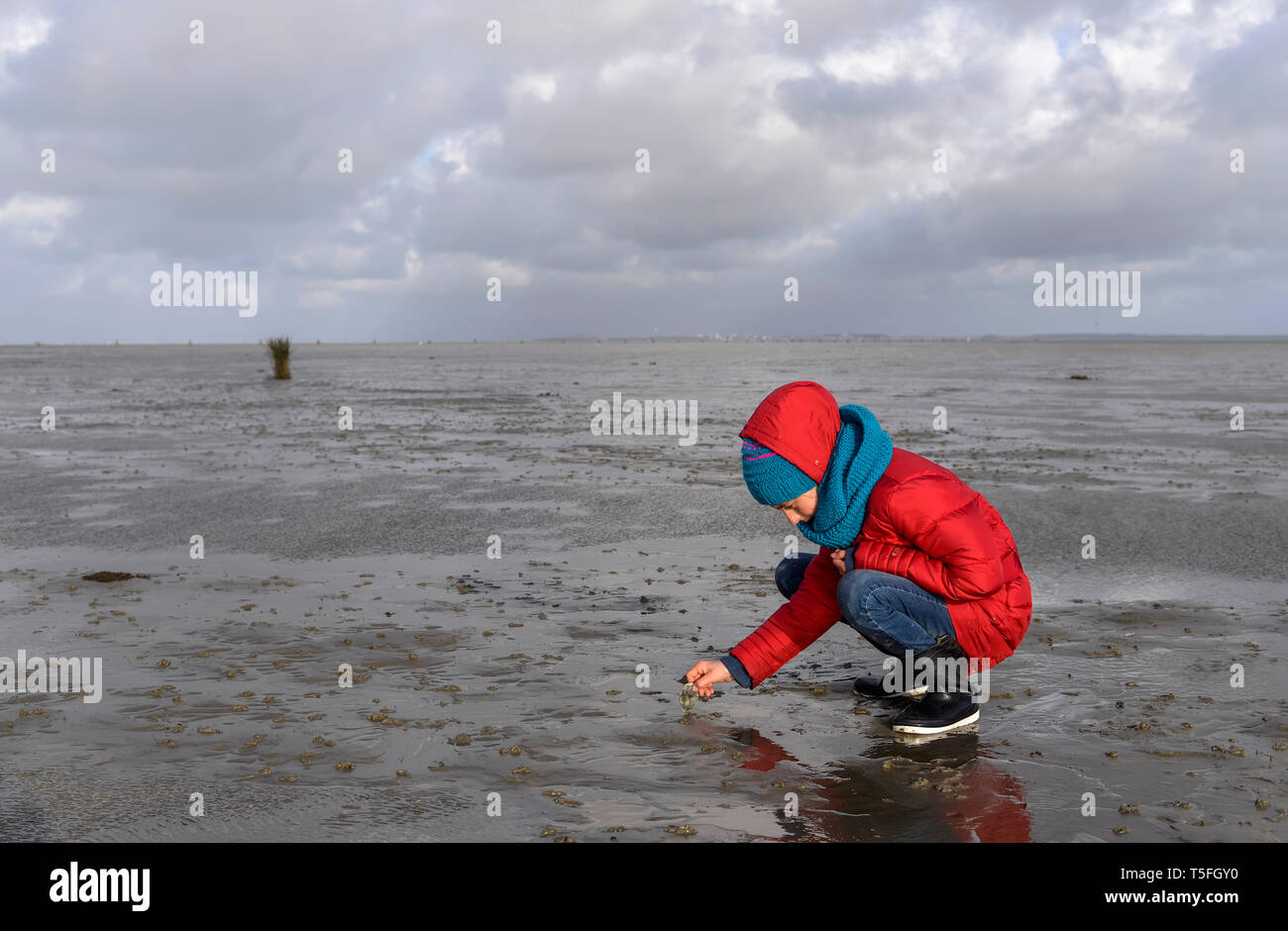 Germany, Lower Saxony, North Sea,     Hamburg Wadden Sea National Park, Neuwerk, low tide, girl playing in mudflat Stock Photo