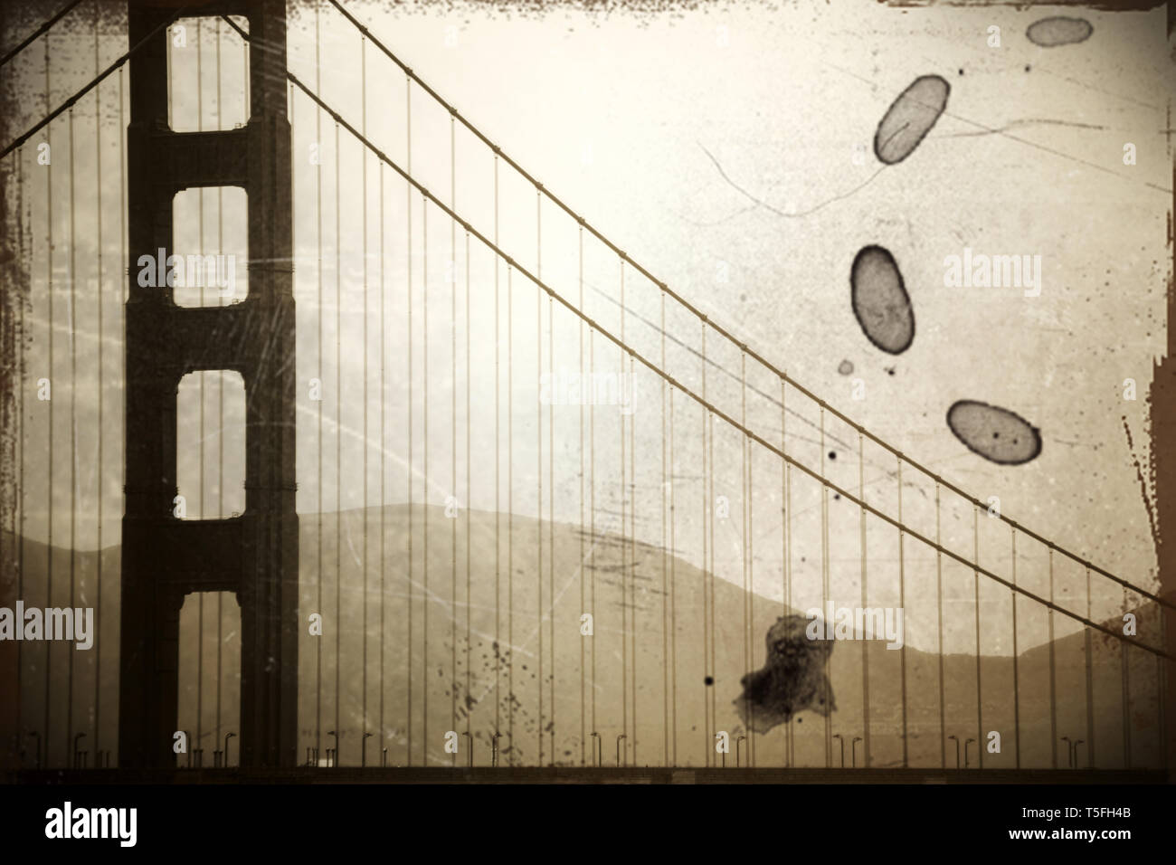 The vintage photograph of a pillar of the Golden Gate Bridge in misty ...