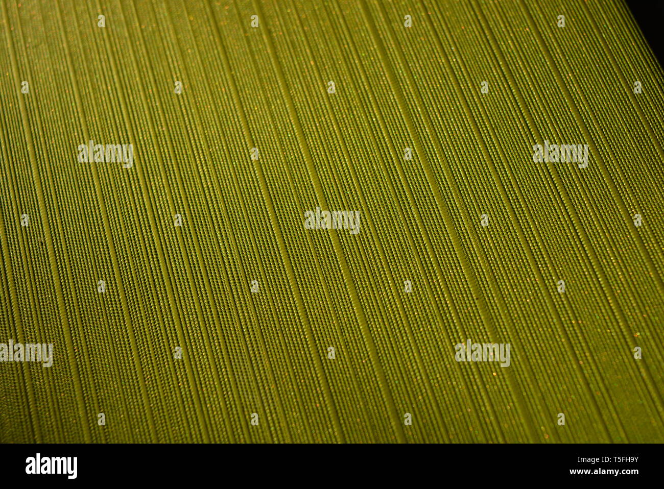 Green cover of the diary, delicate green soft fabric background with extruded stripes and gold