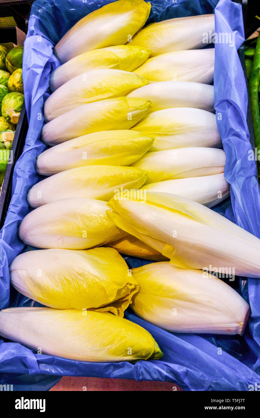 Chicory or Belgian endive packed on market Spain Stock Photo