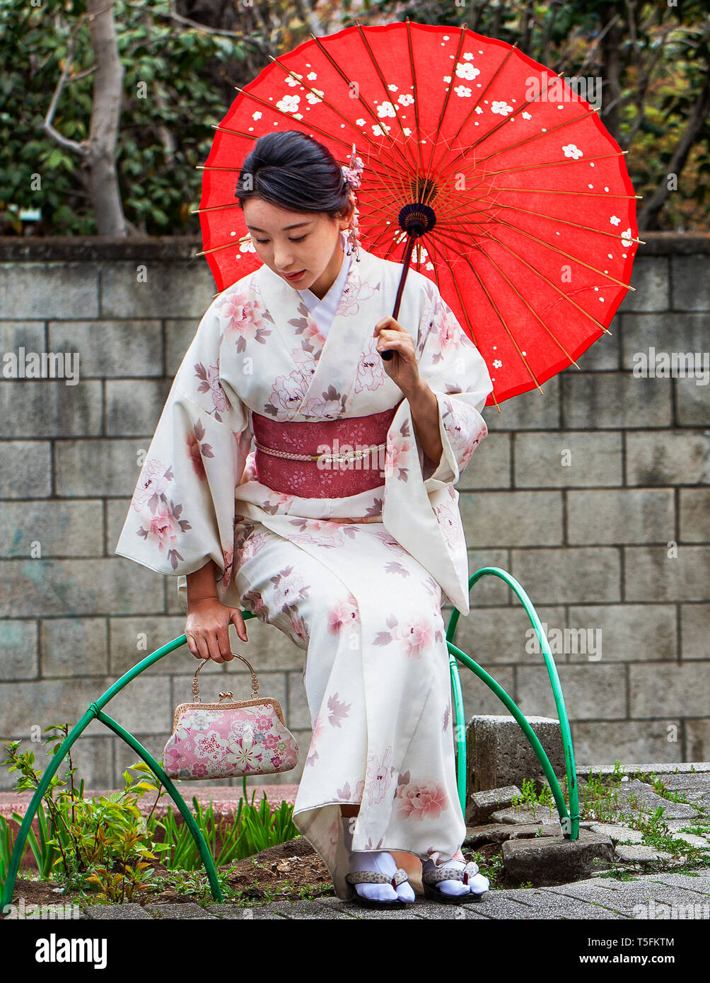 Beautiful Japanese woman in white kimono with red sash and red umbrella in  a park next to a cherry blossom tree Stock Photo - Alamy