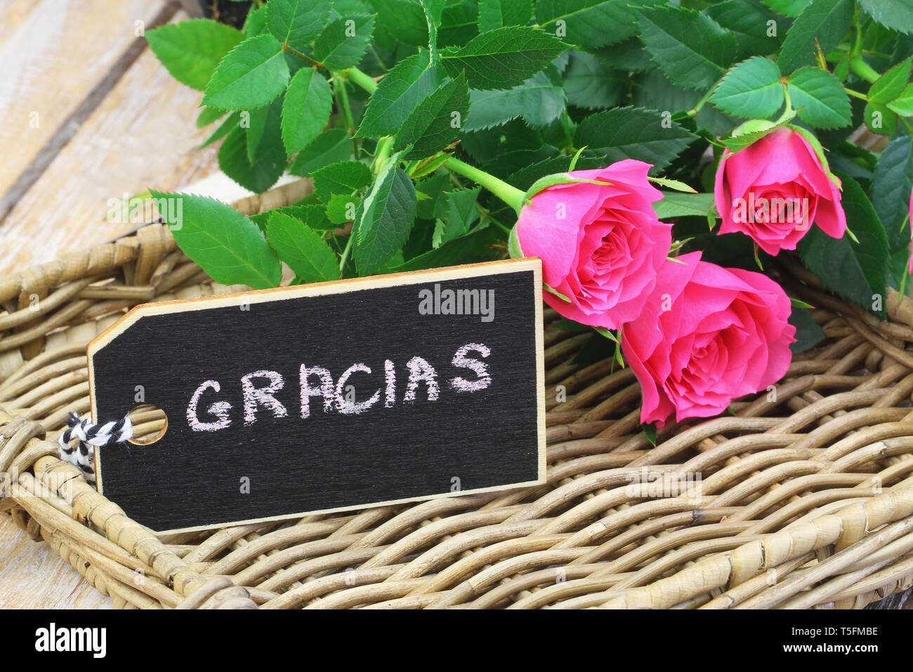 Gracias (thank you in Spanish) card with pink wild roses on wicker tray Stock Photo