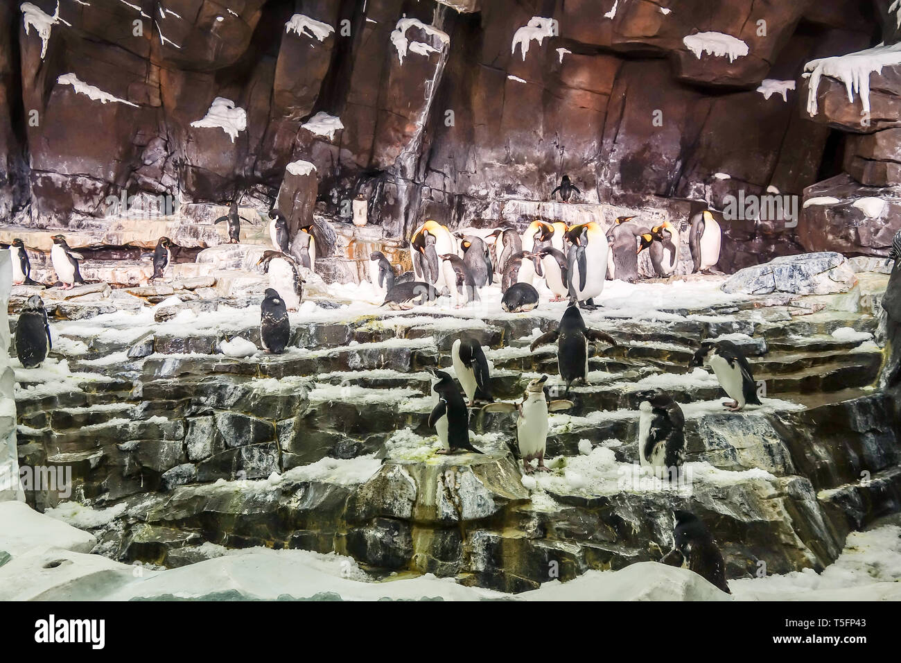 The Antarctica Empire of the Penguin attraction at Seaworld in Orlando