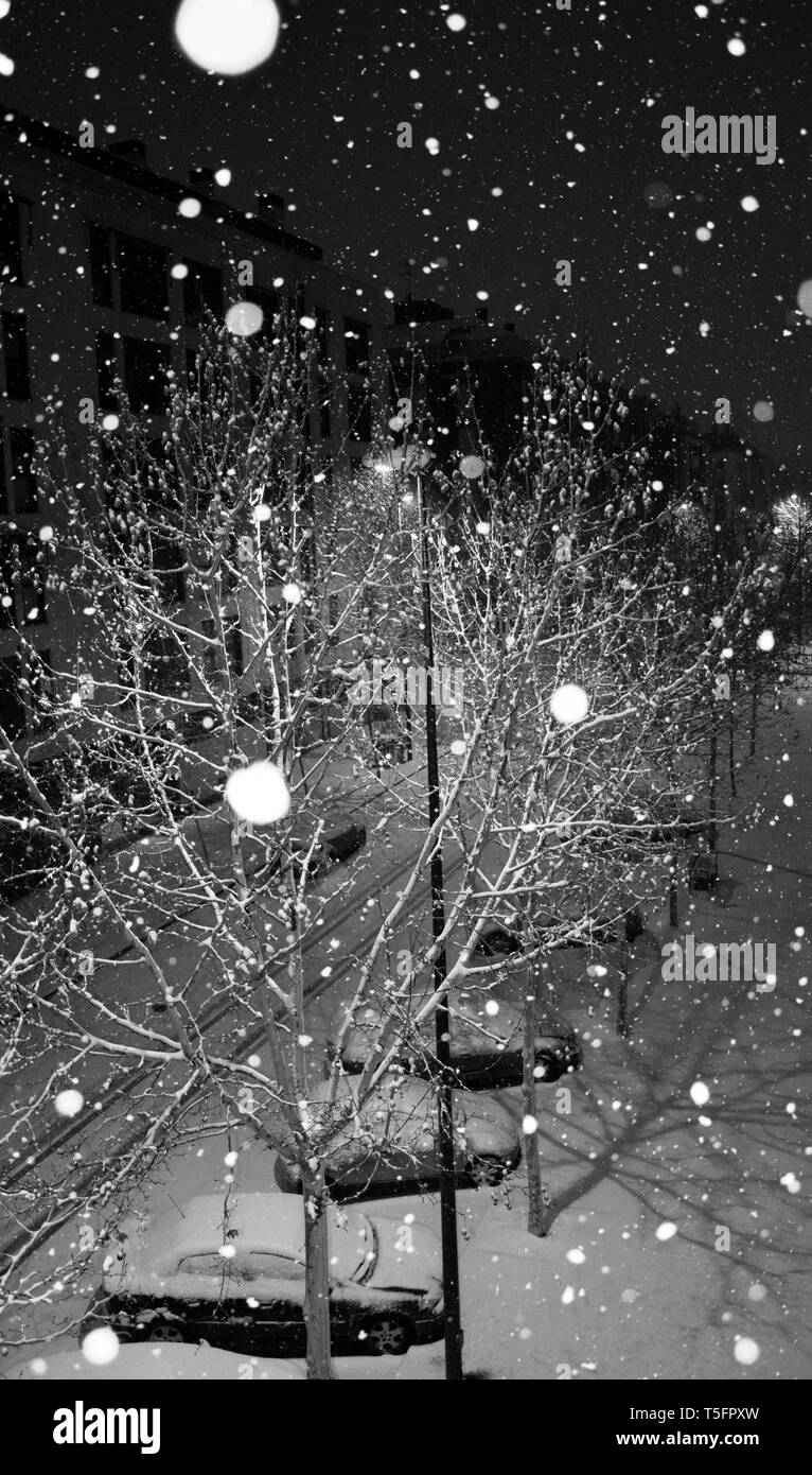 snowing, snowflakes falling during the night on the tree, on the cars and on the street, everything is covered with snow Stock Photo