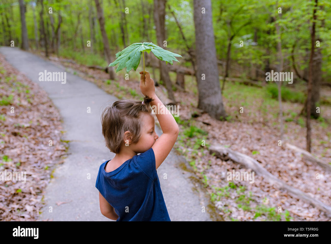 Young girl holding a big leaf in the forest Stock Photo - Alamy