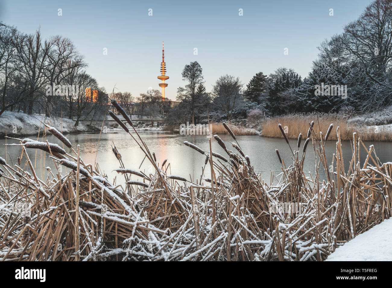 Germany, Hamburg, park Planten un Blomen at a winter morning Stock Photo
