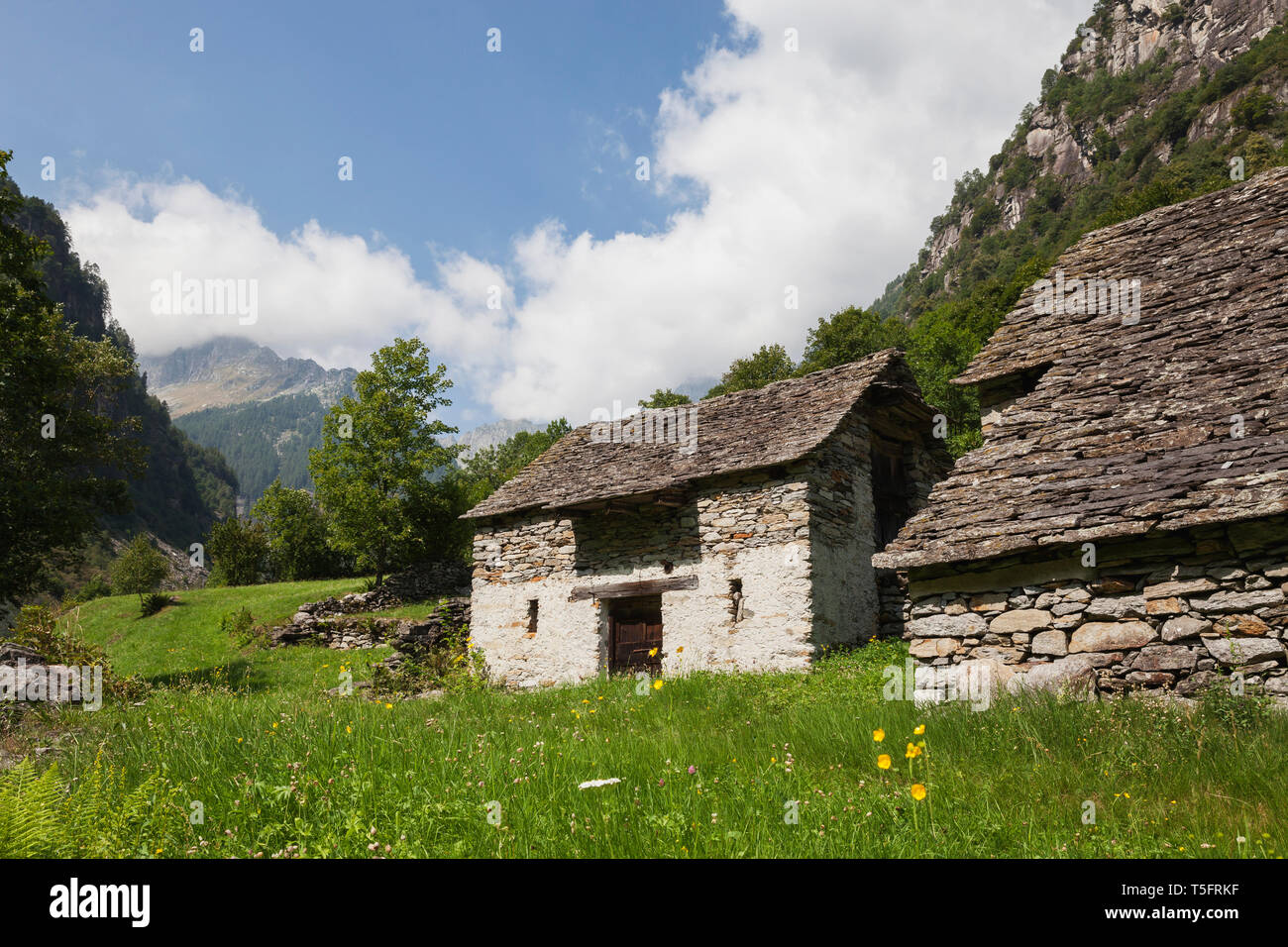 Switzerland, Ticino, Sonogno, typical historic stone house  and summer meadow Stock Photo