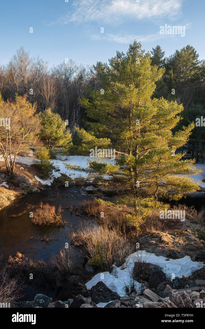 High water on the river during spring thaw Stock Photo