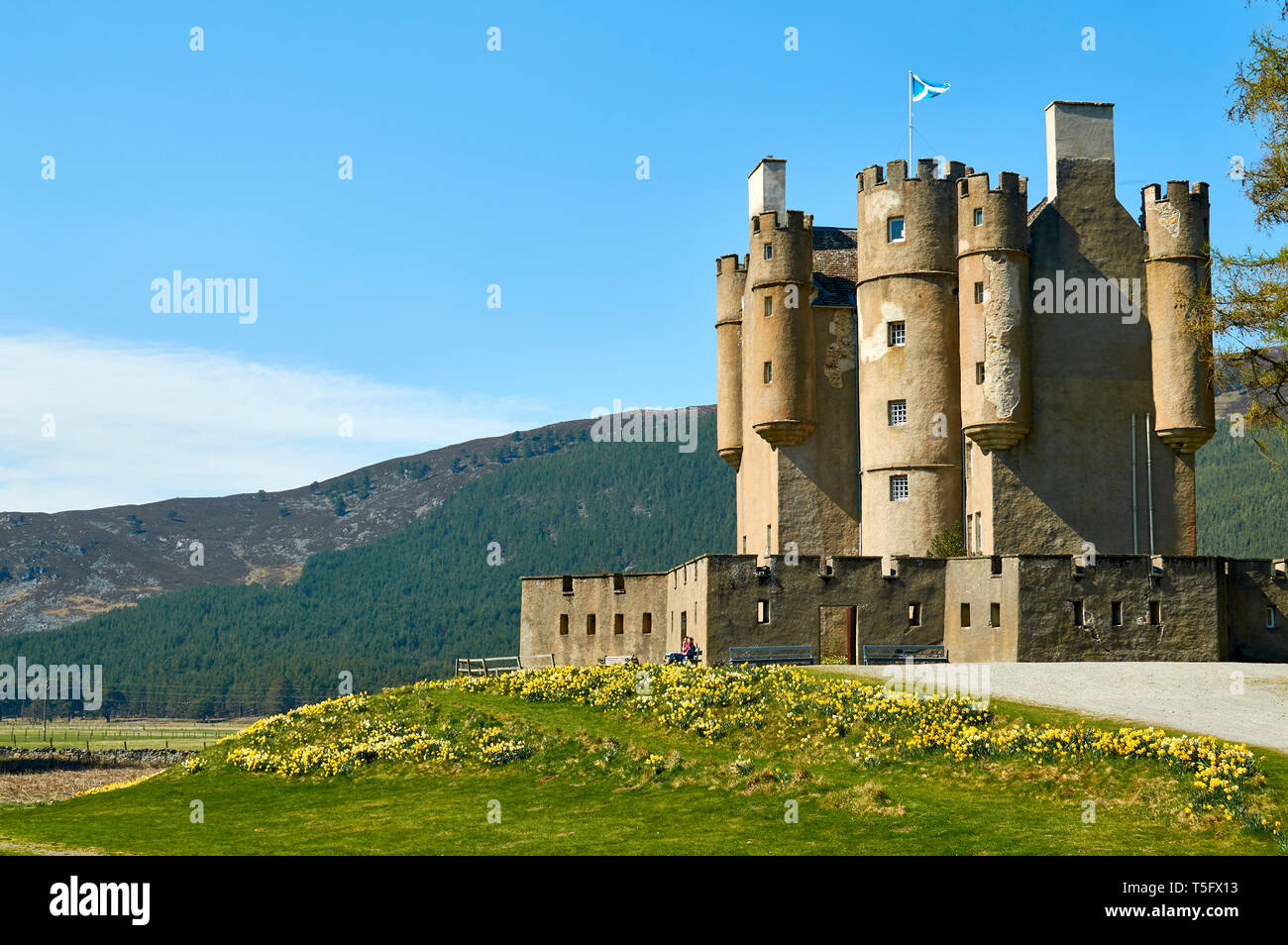 BRAEMAR ABERDEENSHIRE SCOTLAND BRAEMAR CASTLE WITH MOUNTAIN AND DAFFODILS IN SPRINGTIME Stock Photo