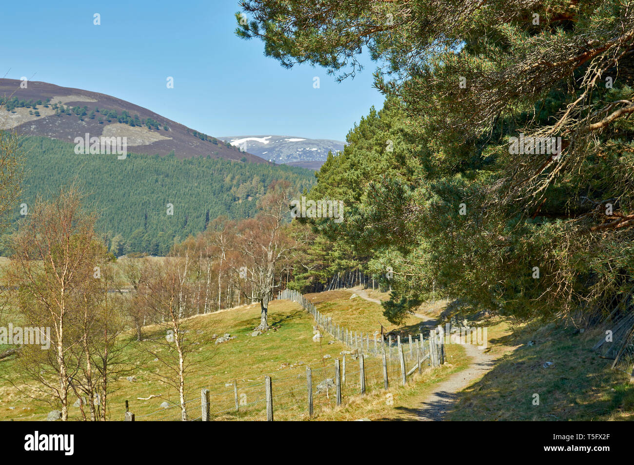 BRAEMAR ABERDEENSHIRE SCOTLAND PATH OR TRAIL ABOVE THE TOWN WITH VIEW OF SNOW ON THE MOUNTAIN Stock Photo