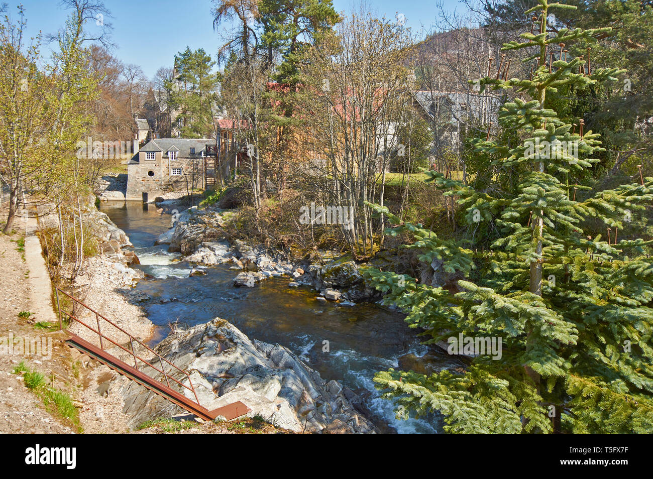Royal arms of scotland hires stock photography and images Alamy