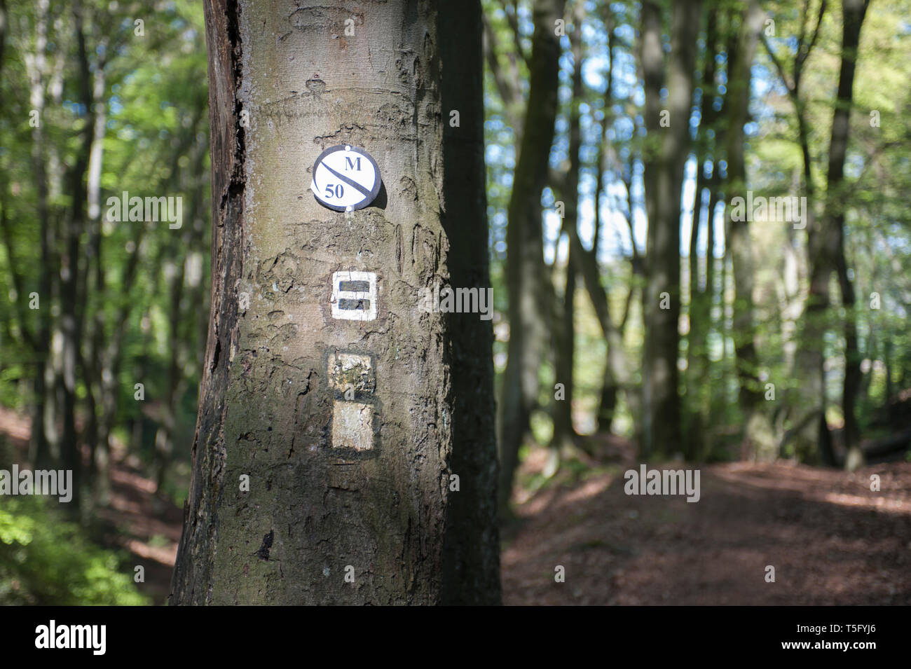 Wanderzeichen an einem Baum im Wald bei Mülheim Mintard. Stock Photo