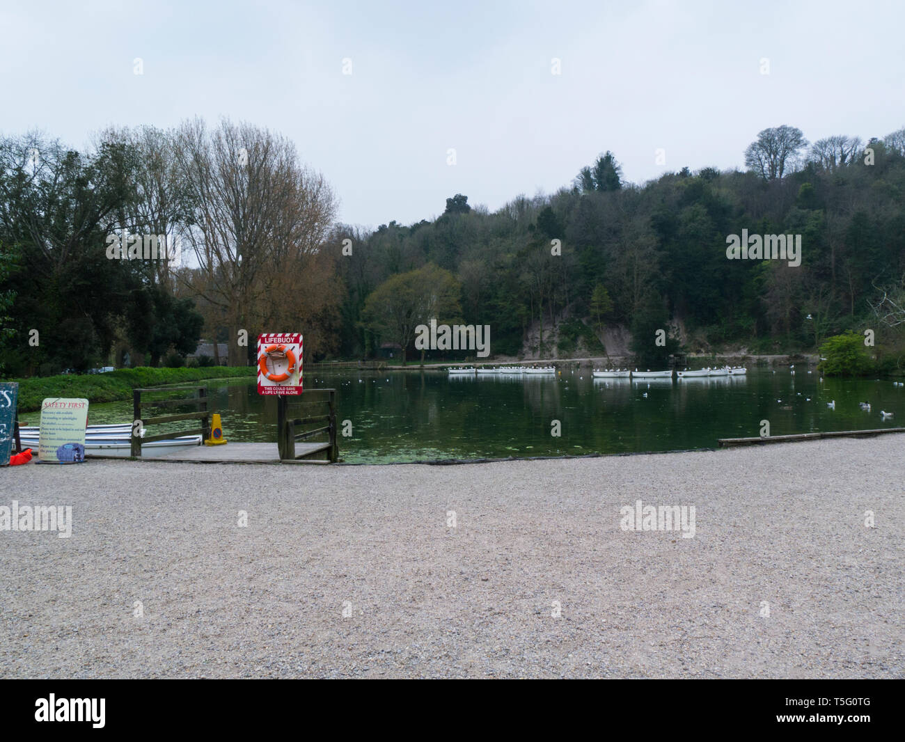 Gulls using rowing boats as perch hires stock photography and images