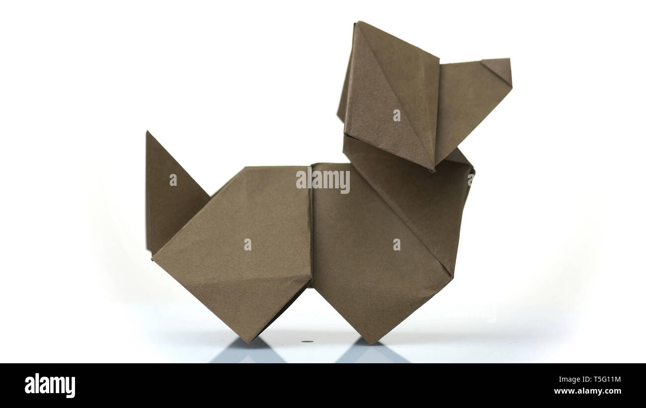 Origami dog close up. Stock Photo