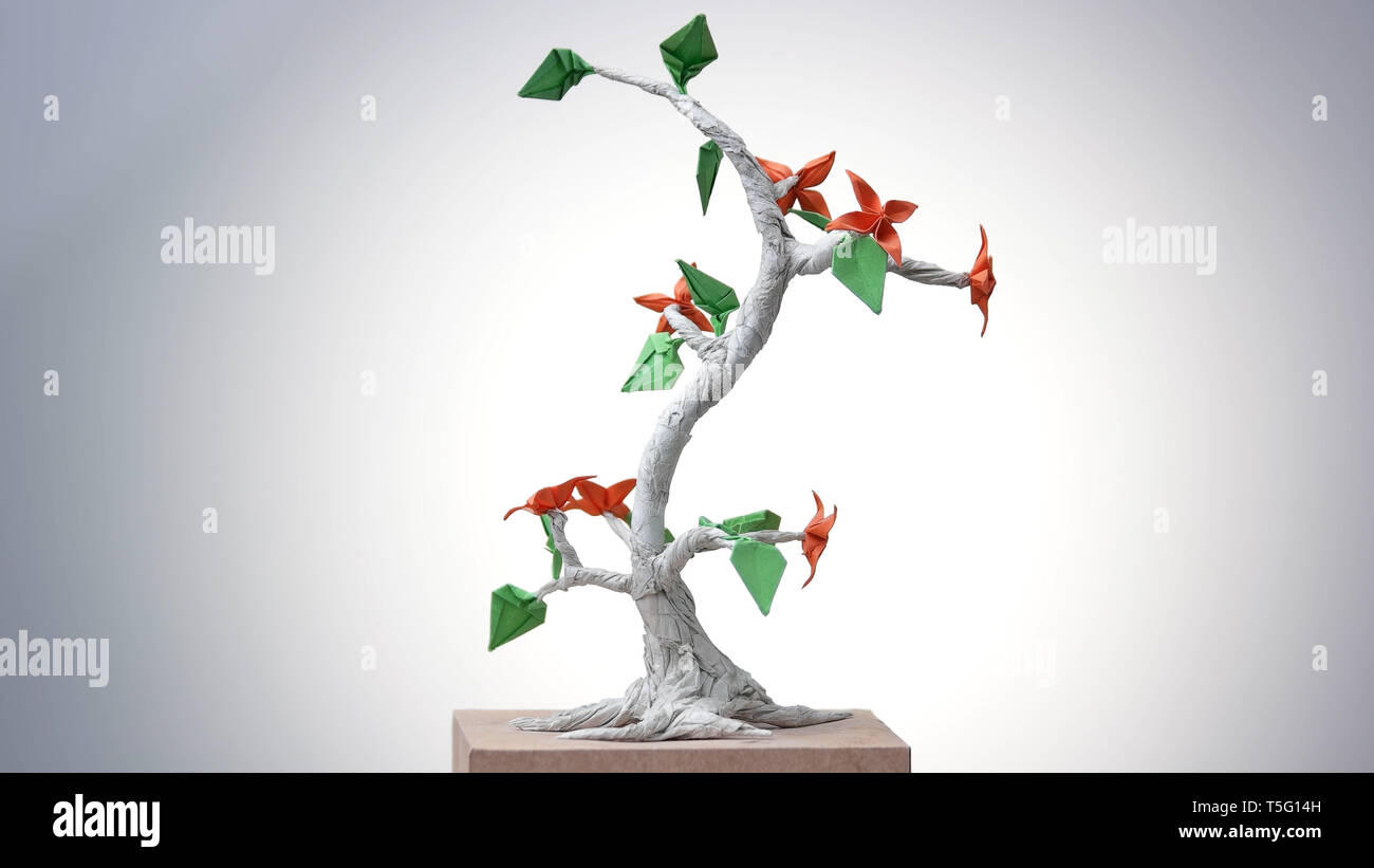 Beautiful origami bonsai Stock Photo - Alamy