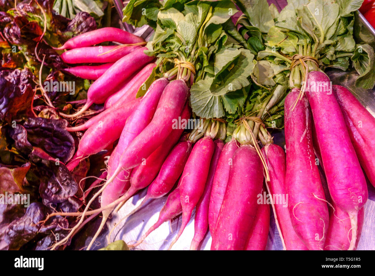 Bunch of red radishes roots on the vegetable market, Spain Radish roots Stock Photo