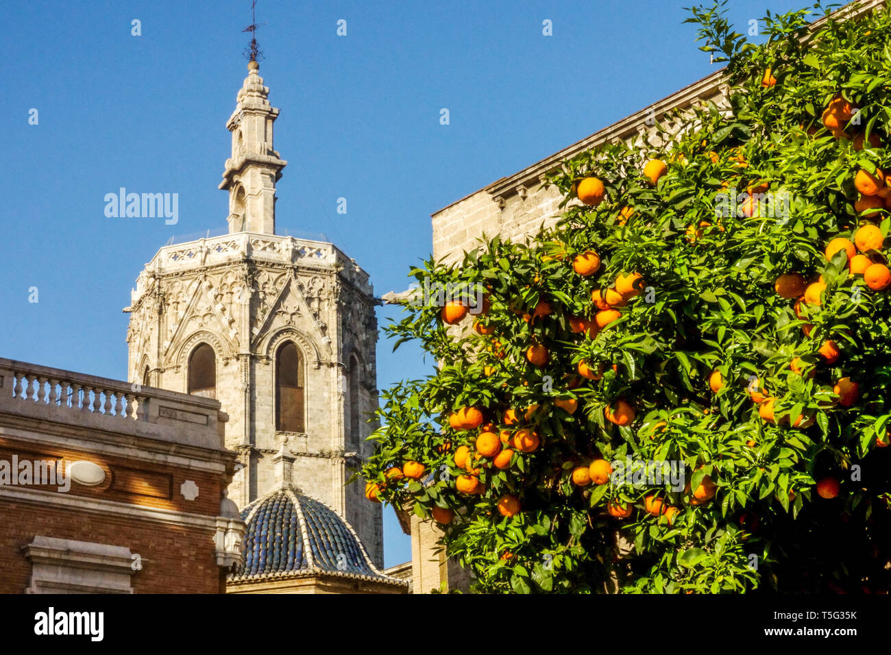 Valencia Spain Architecture Valencia Cathedral Bell Tower, Valencia Oranges tree Spain Old Town Stock Photo