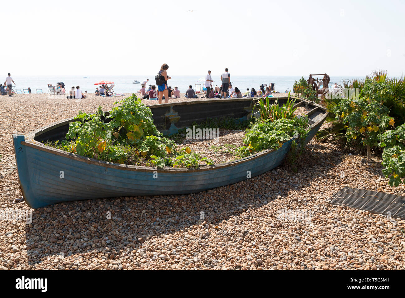Wooden boat on the beach near Brighton Fishing Museum in East Sussex, England. Greenery is displayed in the boat. Stock Photo
