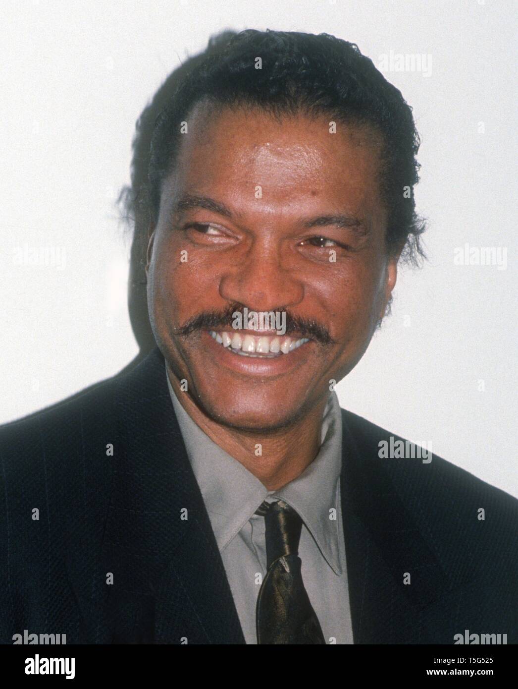 Billy Dee Williams 1990 Photo By John Barrett/PHOTOlink /MediaPunch Stock  Photo - Alamy