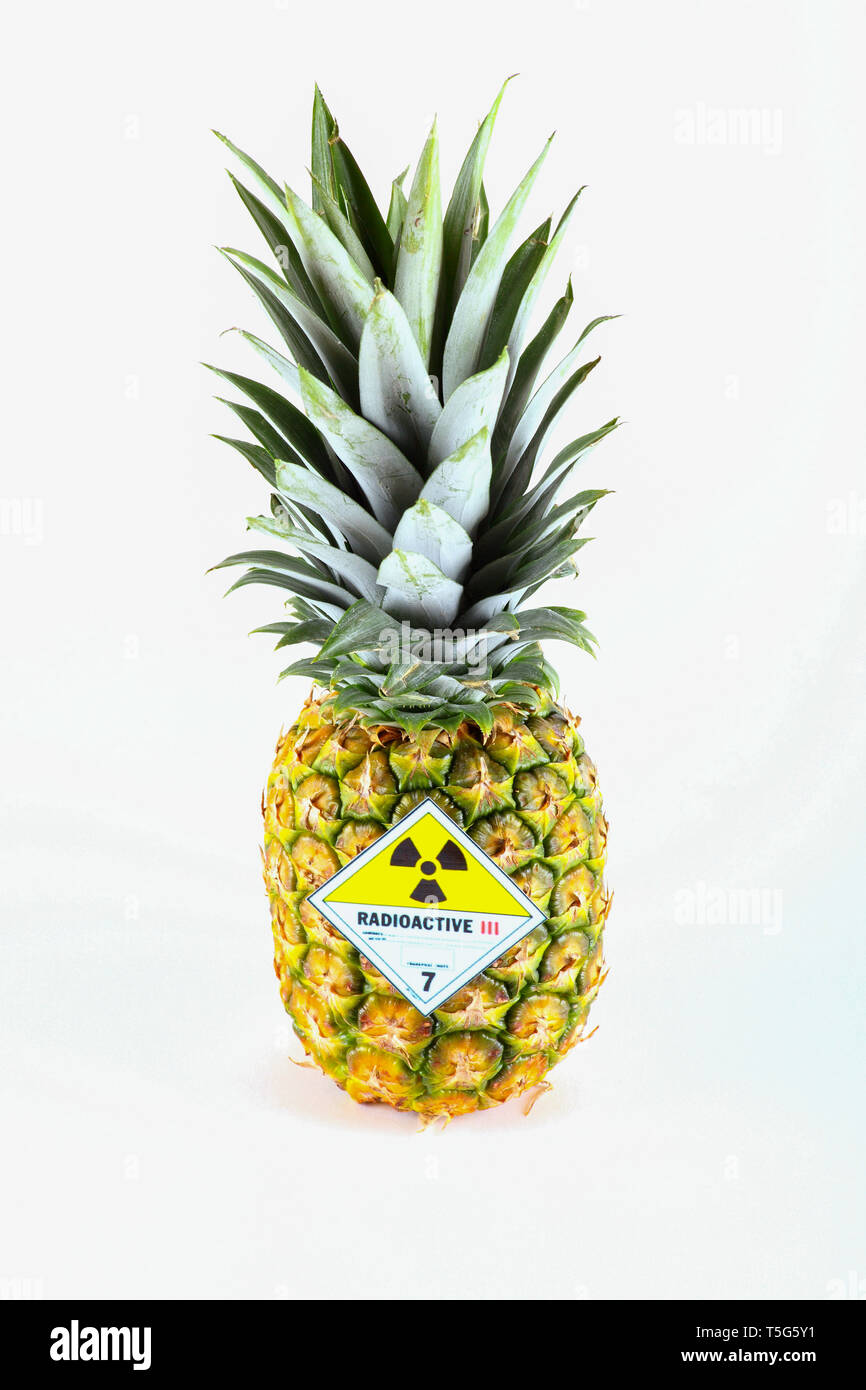 Pineapple with radioactive symbol - isolated on a white background. Stock Photo