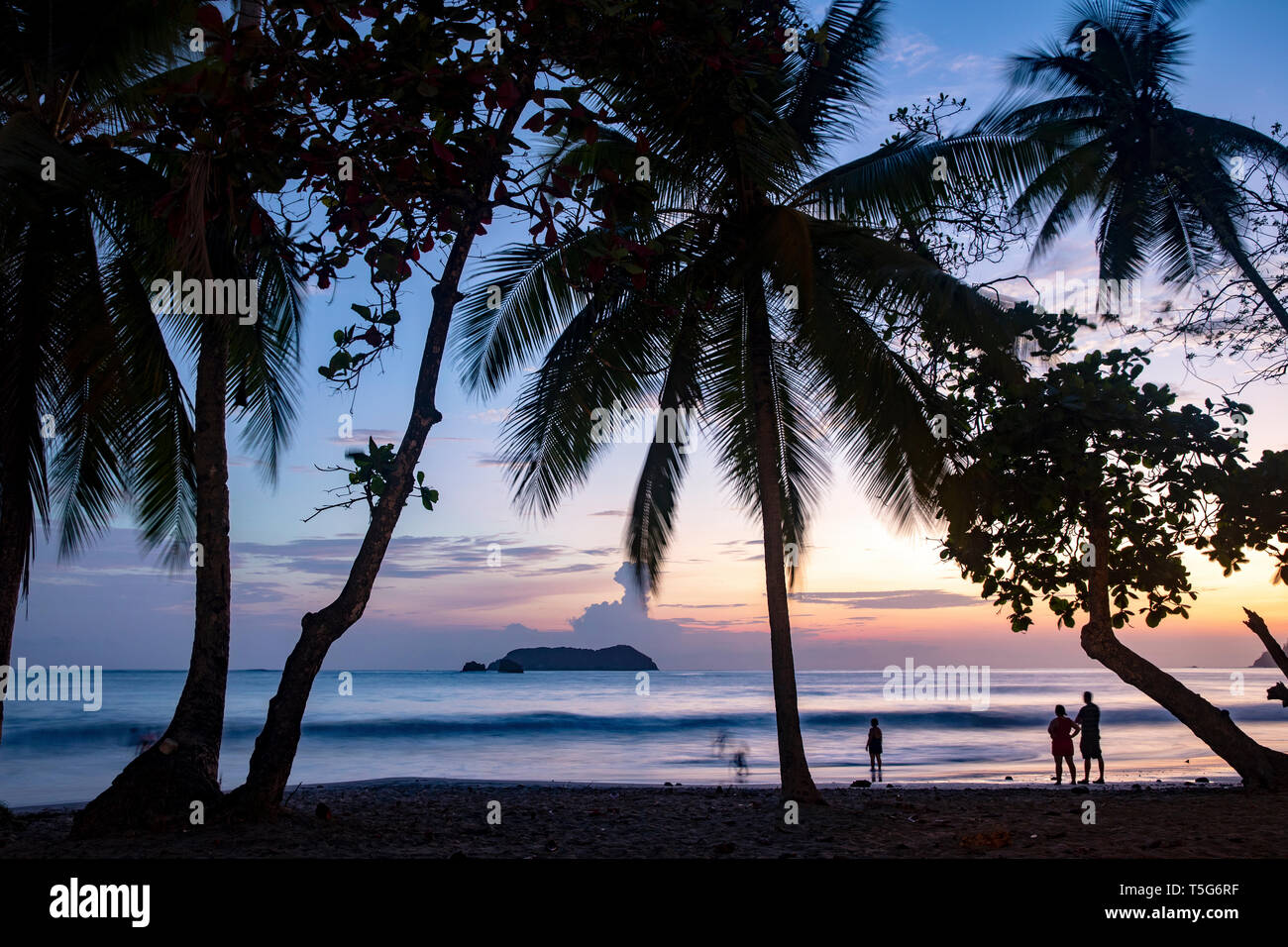 Sunset through the palm trees on Espadilla Norte Beach, Manuel Antonio