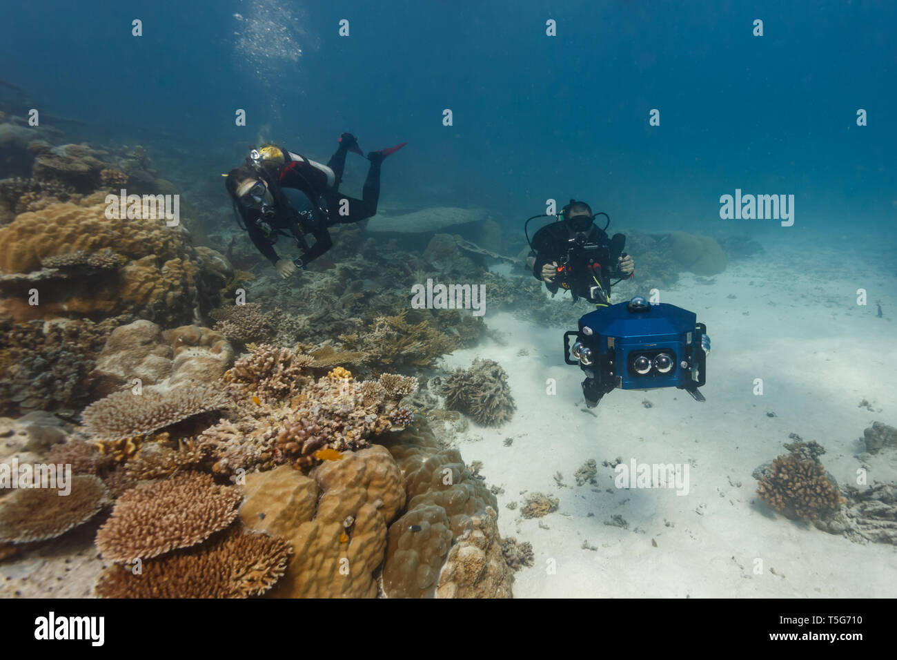 Closeup view of action as cameraman diver films coral reef with 3D camera Stock Photo