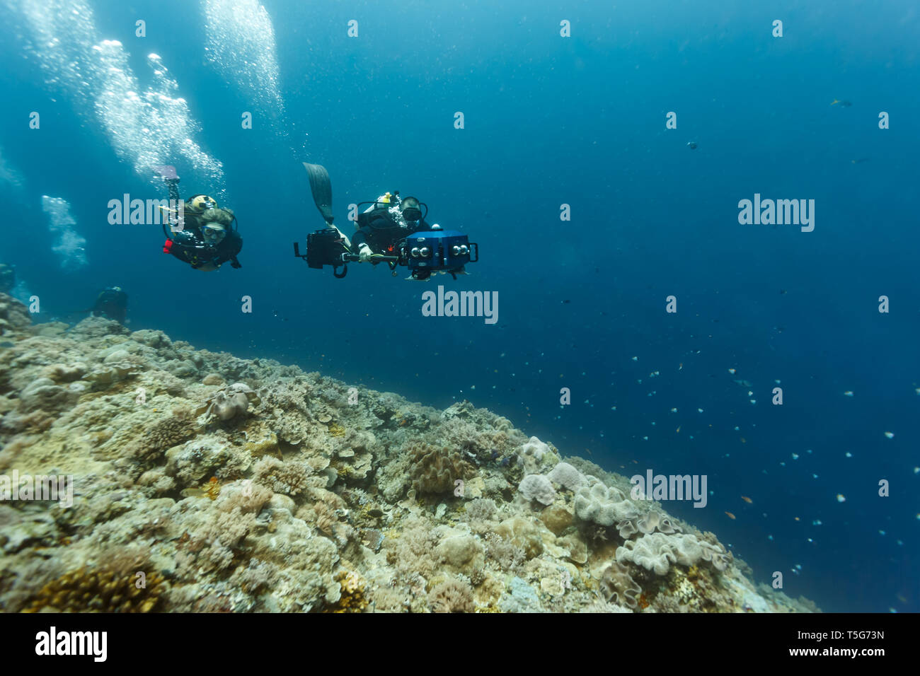 closeup of divers operating long underwater virtual reality camera Stock Photo