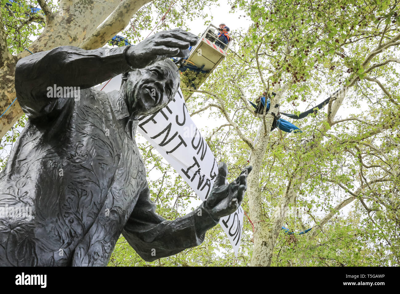 Westminster, London, UK, 24th April 2019. Police attempt to remove Extinction Rebellion and climate change protesters who have been camping high up in a tree on Parliament Square for several days. Nelson Mandela statue in the foreground. Credit: Imageplotter/Alamy Live News Stock Photo