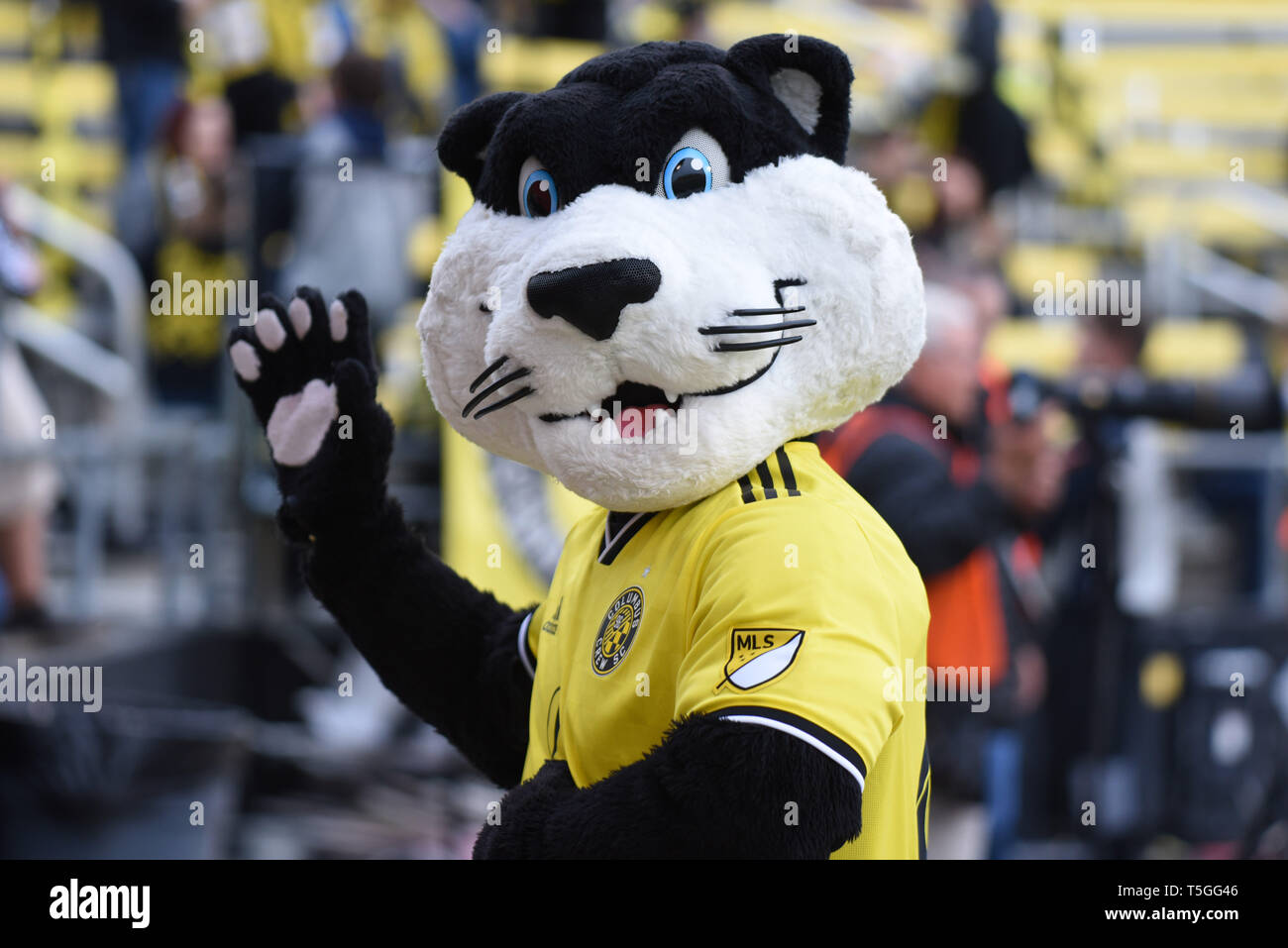 Columbus, OH, USA. 24th Apr, 2019. April 24, 2019: The Columbus Crew ''Crew Cat'' waves to the camera during the MLS match between DC United and Columbus Crew SC at Mapfre Stadium in Columbus, Ohio. Austyn McFadden/ZUMA Credit: Austyn McFadden/ZUMA Wire/Alamy Live News Stock Photo