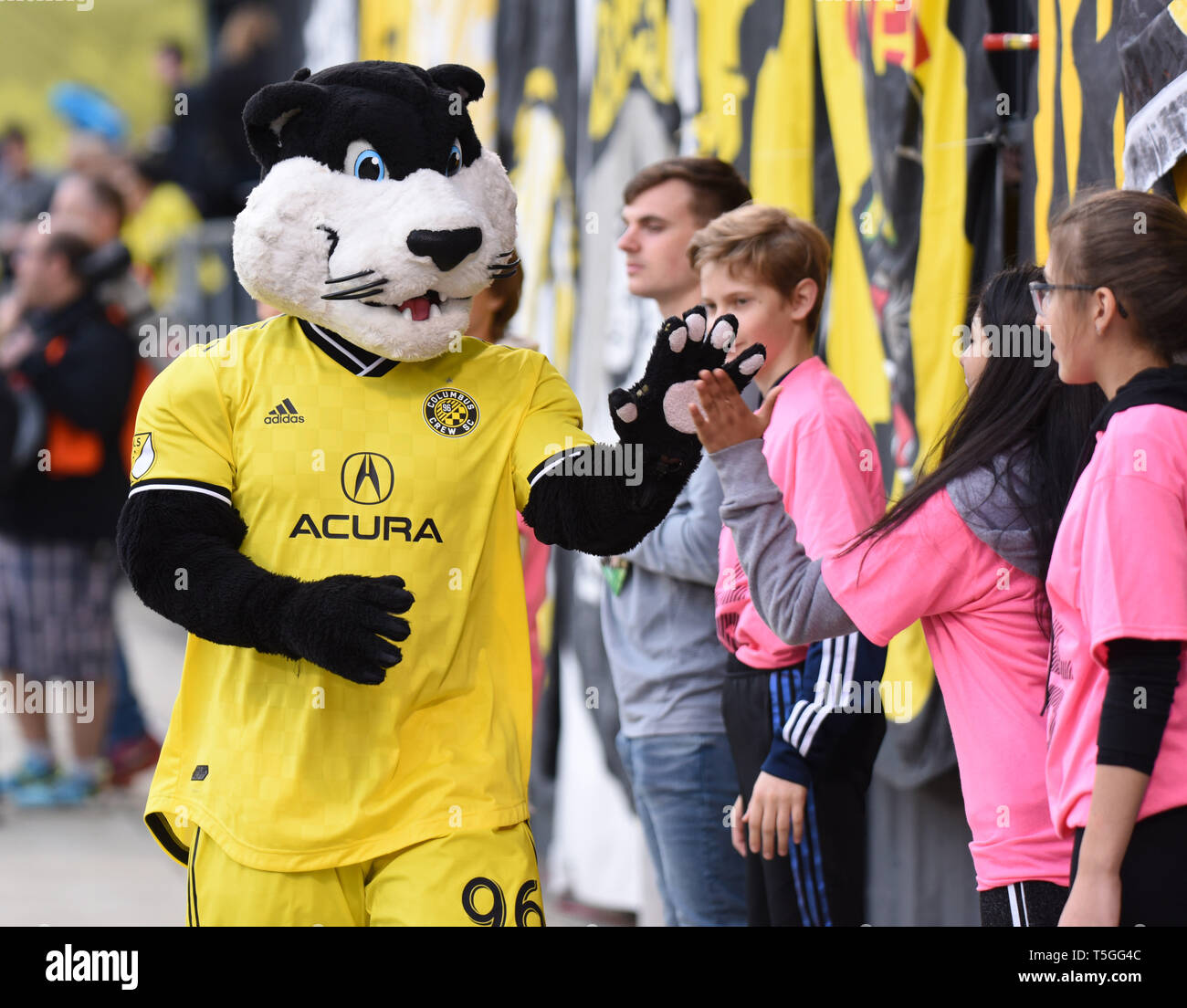 Columbus, OH, USA. 24th Apr, 2019. April 24, 2019: The Columbus Crew ''Crew Cat'' high fives young fans before the MLS match between DC United and Columbus Crew SC at Mapfre Stadium in Columbus, Ohio. Austyn McFadden/ZUMA Credit: Austyn McFadden/ZUMA Wire/Alamy Live News Stock Photo