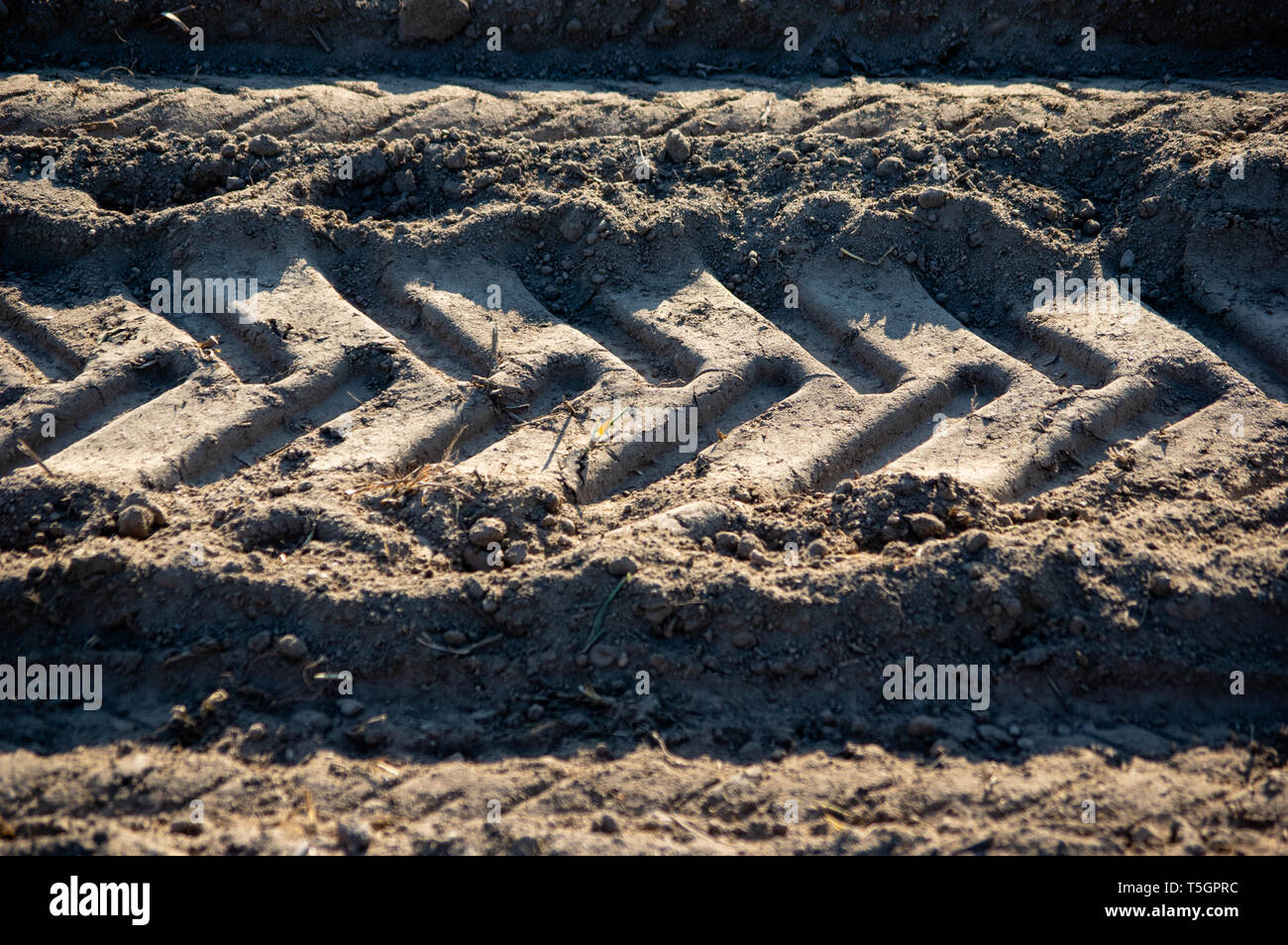 track of a tractor tire on a dust dry field in Germany Stock Photo