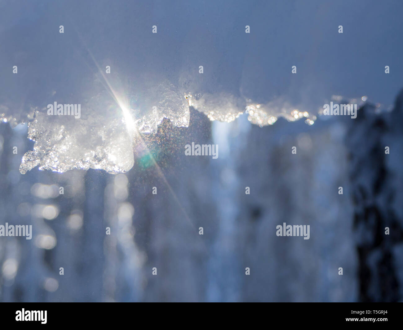 Frozen waterdrops at winter forest, close-up Stock Photo