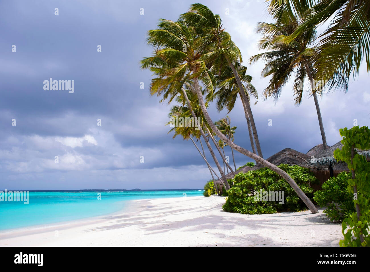 Dream beach with palms on the Maldives Stock Photo