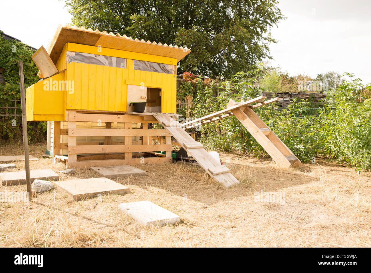 Chicken house in garden Stock Photo