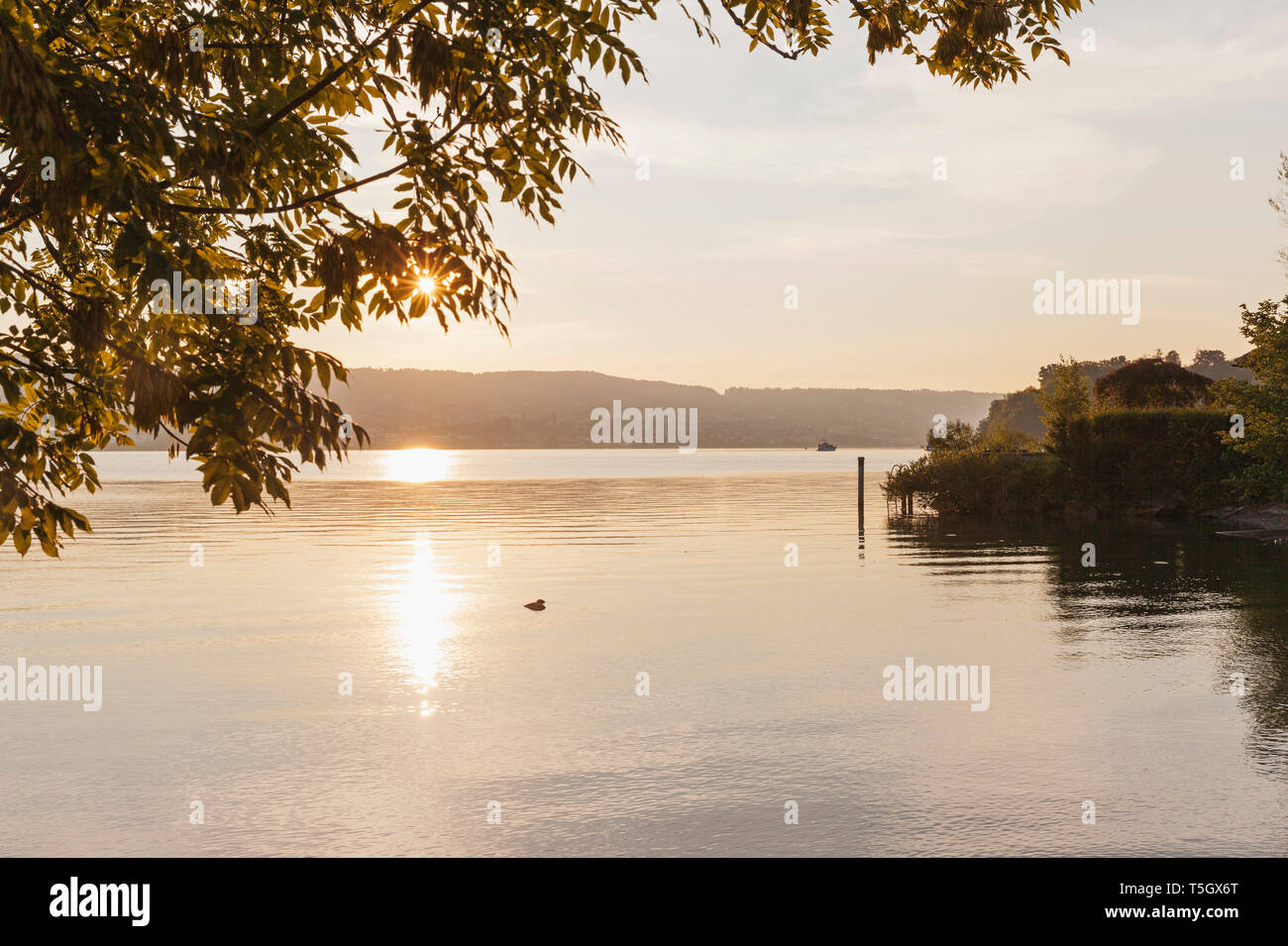Switzerland, Canton Zurich, Richterswil, Lake Zurich at sunrise Stock Photo
