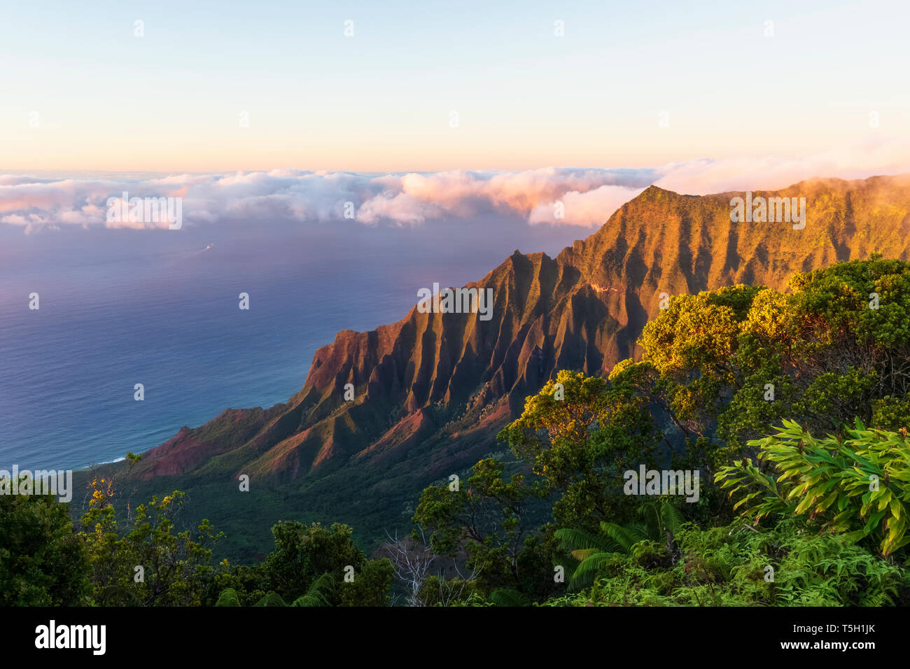 USA, Hawaii, Koke'e State Park, Koke'e State Park, View to Kalalau