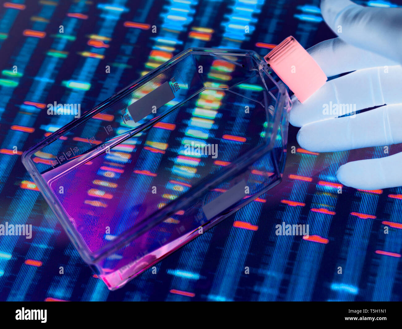 Genetic Engineering, Scientist viewing cells in a culture jar with a DNA profiles on a screen in the background illustrating gene editing Stock Photo