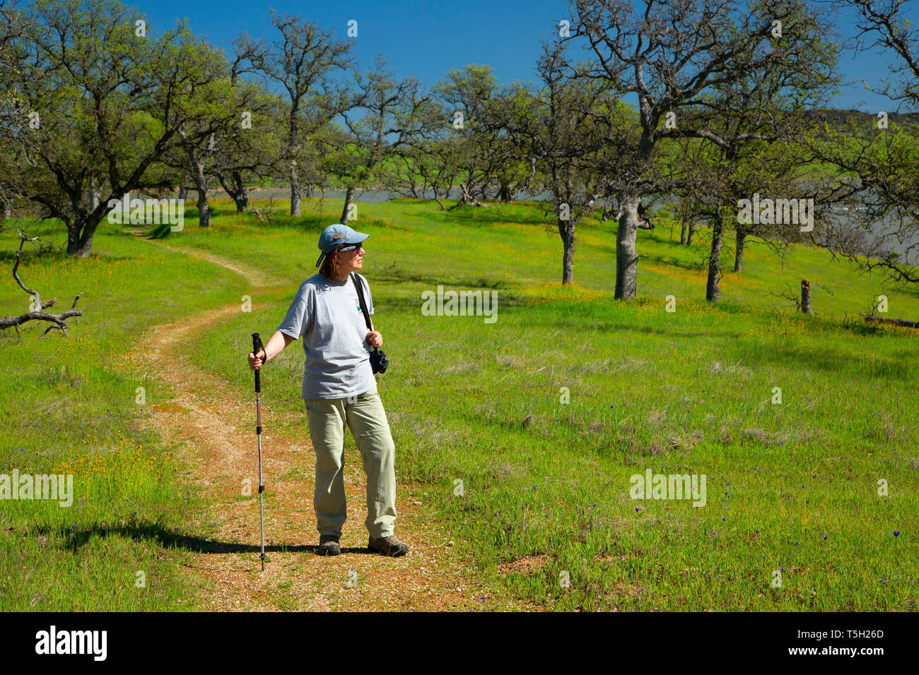 Oak woodland grassland along Buckhorn Trail, Black Butte Lake