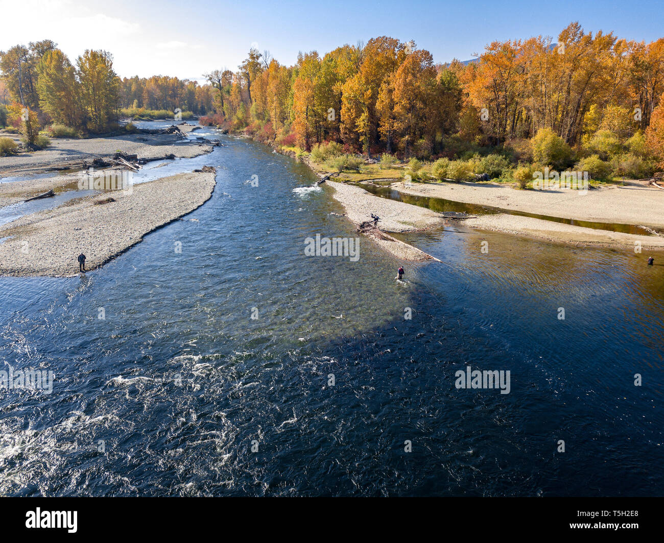 Canada, British Columbia, Aerial view of Adams River during salmon run
