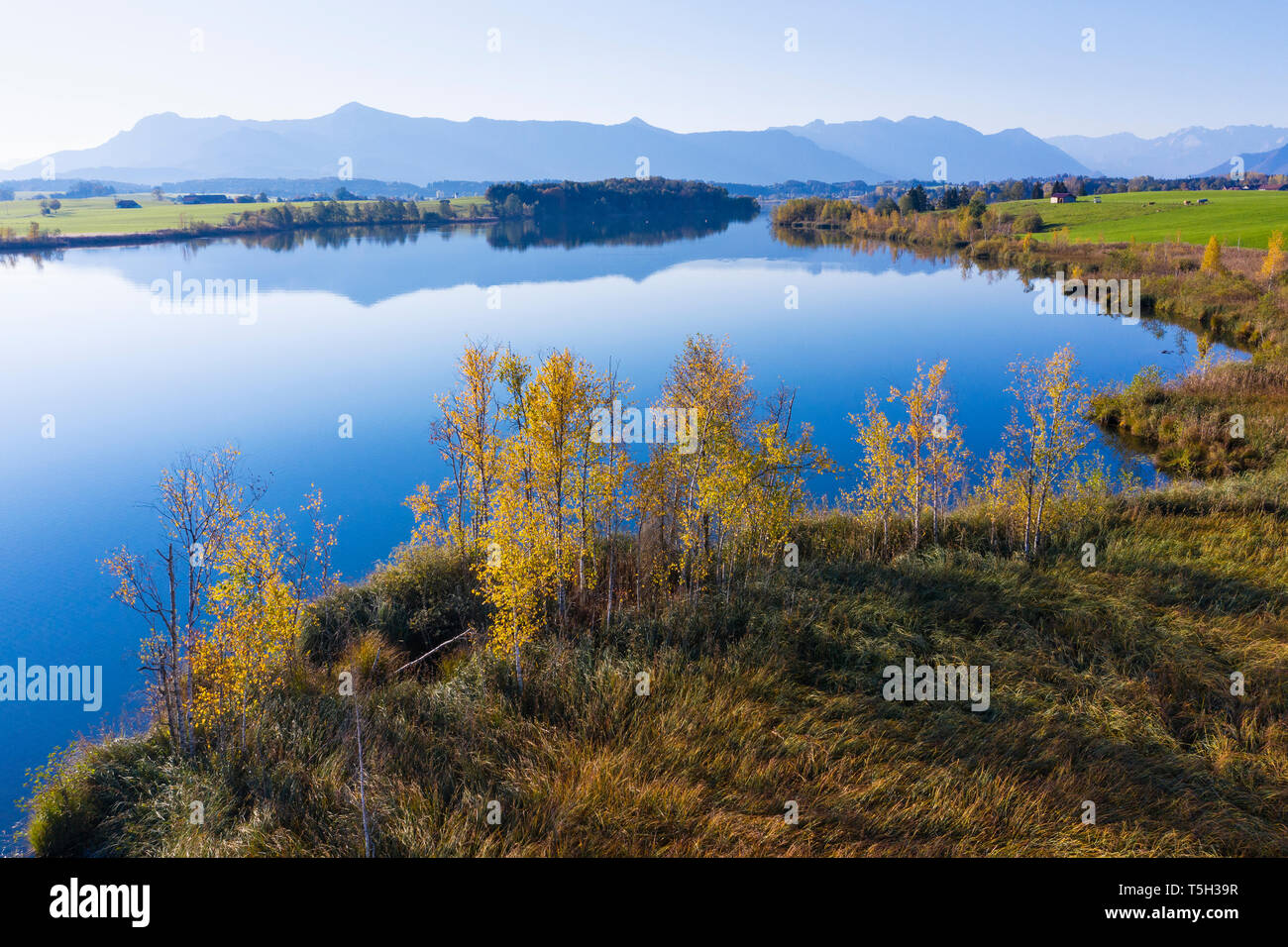 Germany, Upper Bavaria, Alpine foreland, 'Das Blaue Land', Riegsee, north bank near Murnau Stock Photo