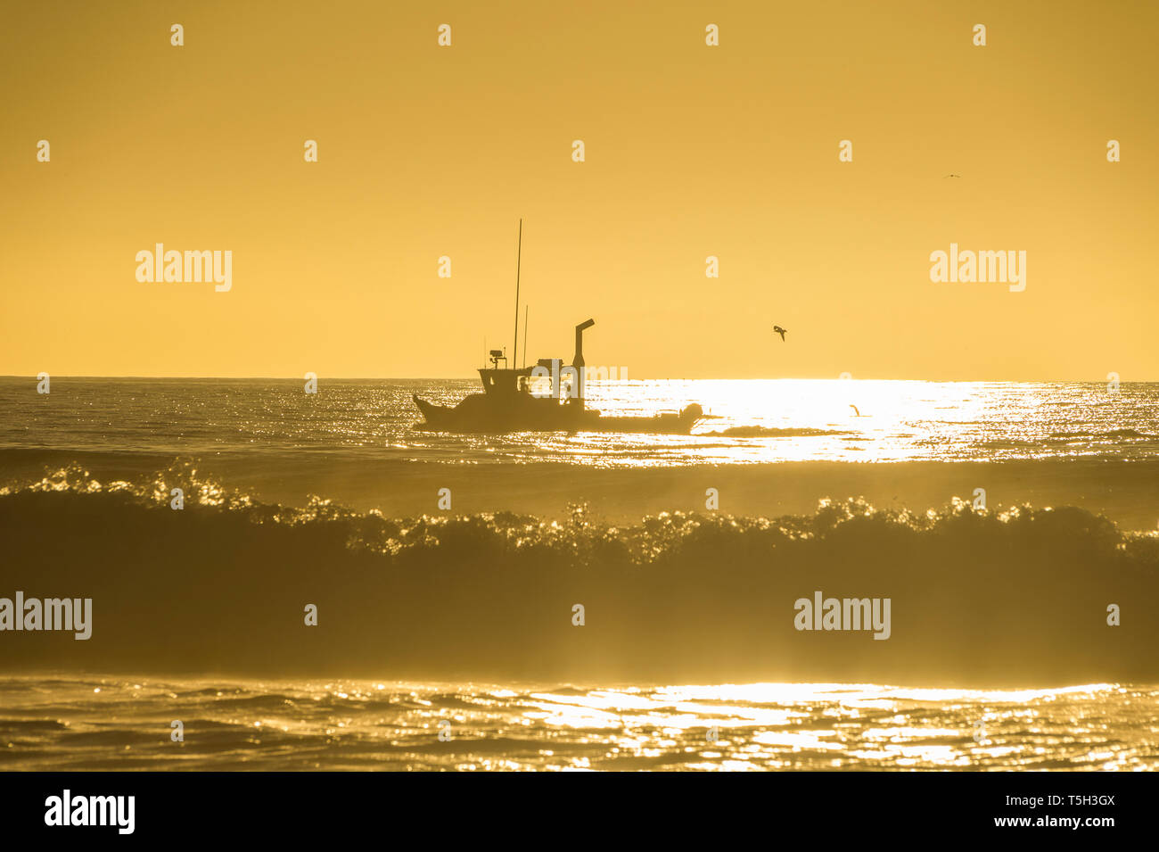 USA, California, Del Mar, Fishing boat at sunset Stock Photo