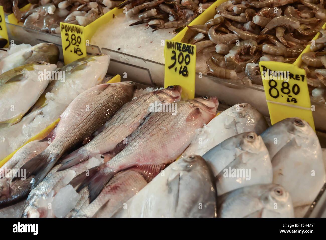 Fresh Fish Market in Chinatown, NYC Stock Photo Alamy