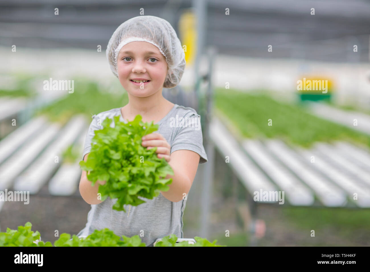 Little girl helping in greenhouse, holding lettuce Stock Photo Alamy