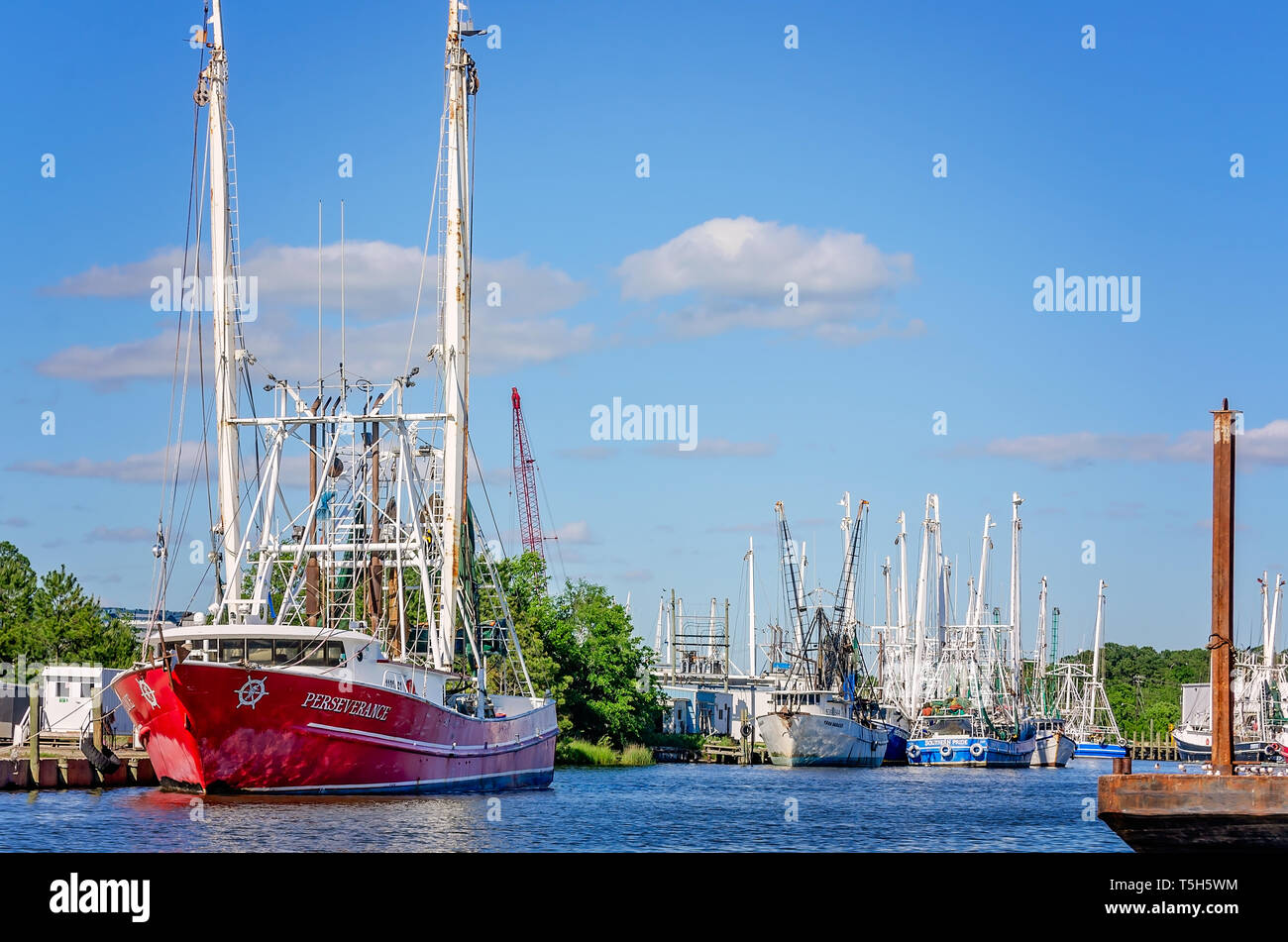Shrimp boats, including Perseverance, are docked along the bank in