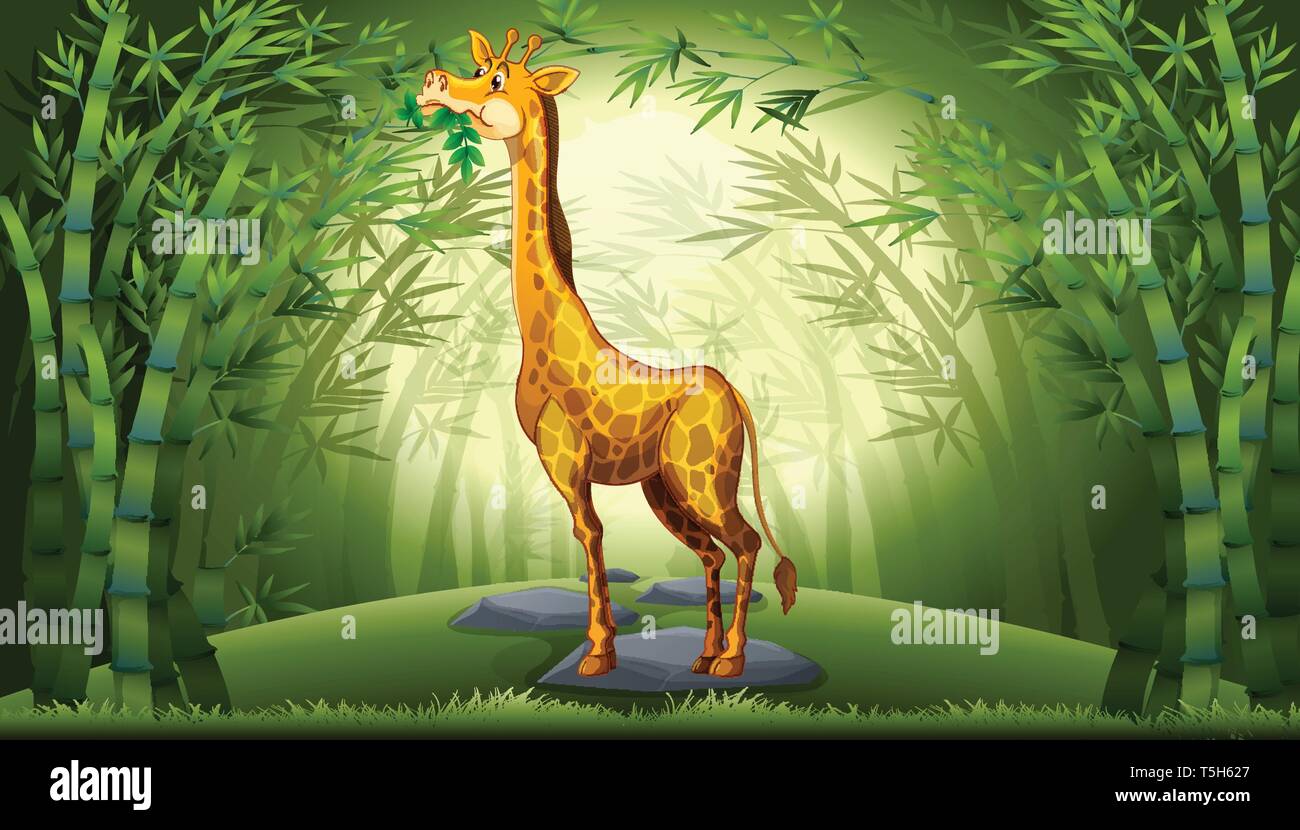 Giraffe in bamboo forest illustration Stock Vector Image & Art - Alamy
