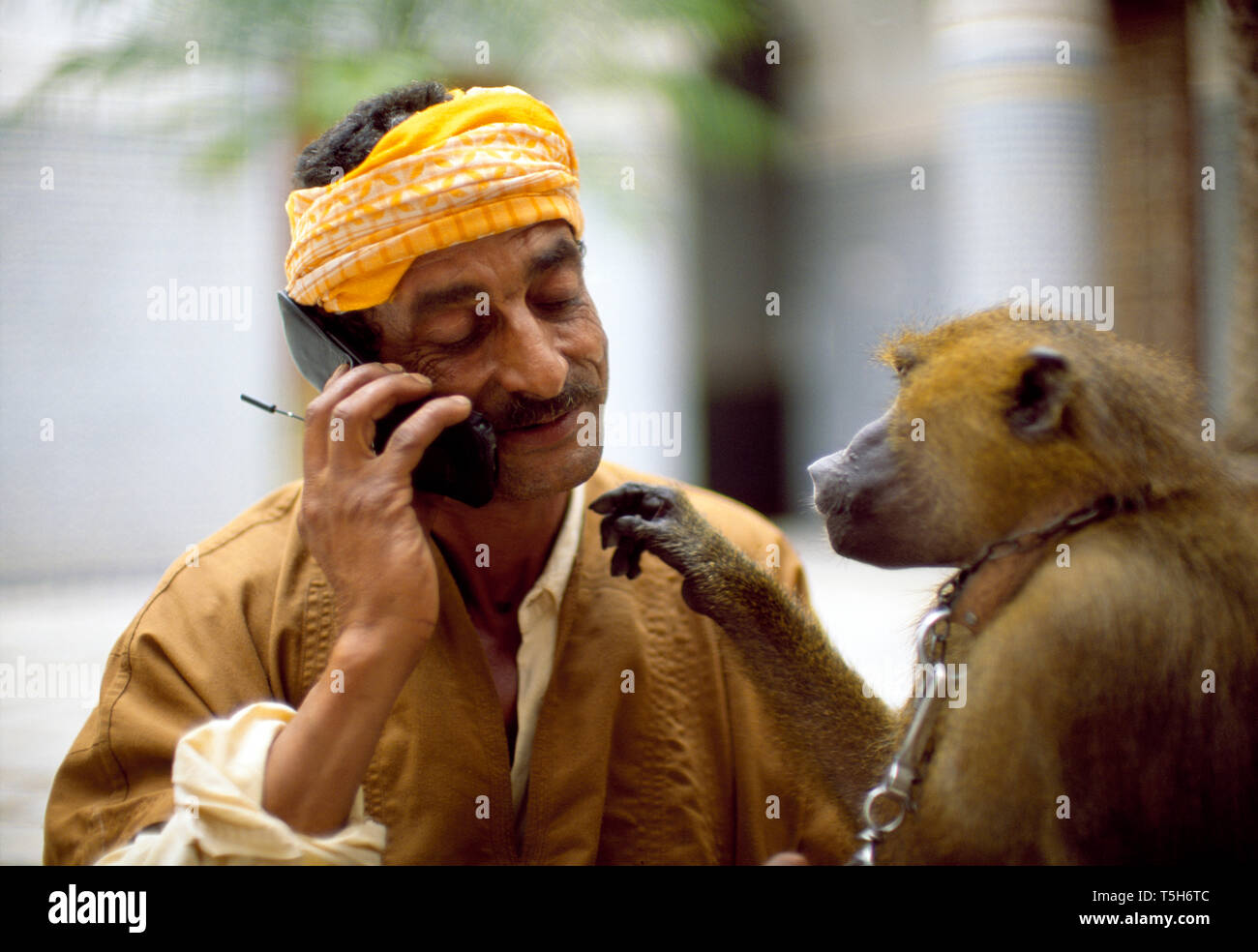 A man talks on his mobile while his pet monkey waits impatiently. Stock Photo
