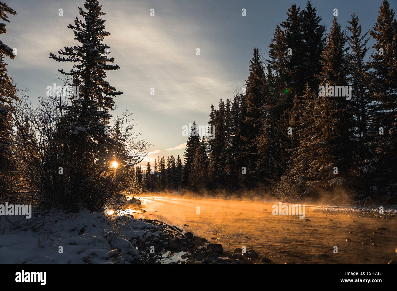 Fantastic foggy river in winter scene in the sunlight. Sun beams through tree. Dramatic colorful scenery. Spring Creek, Canmore, Canada Stock Photo