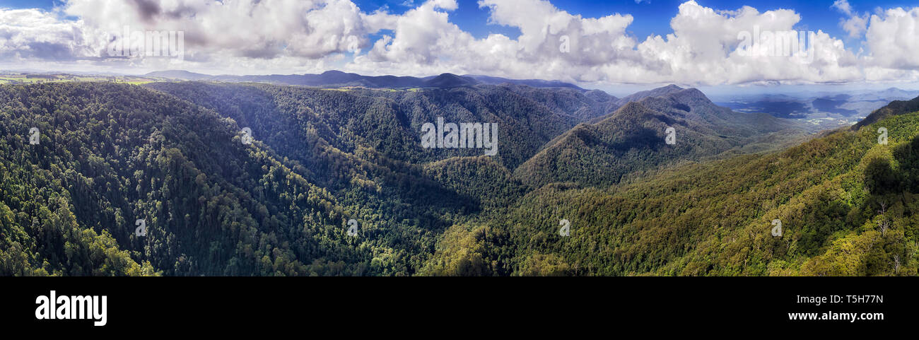 Green valley covered by lush tick woods of rainforest in Dorrigo national park between steep ranges of mountains in elevated wide panorama. Stock Photo