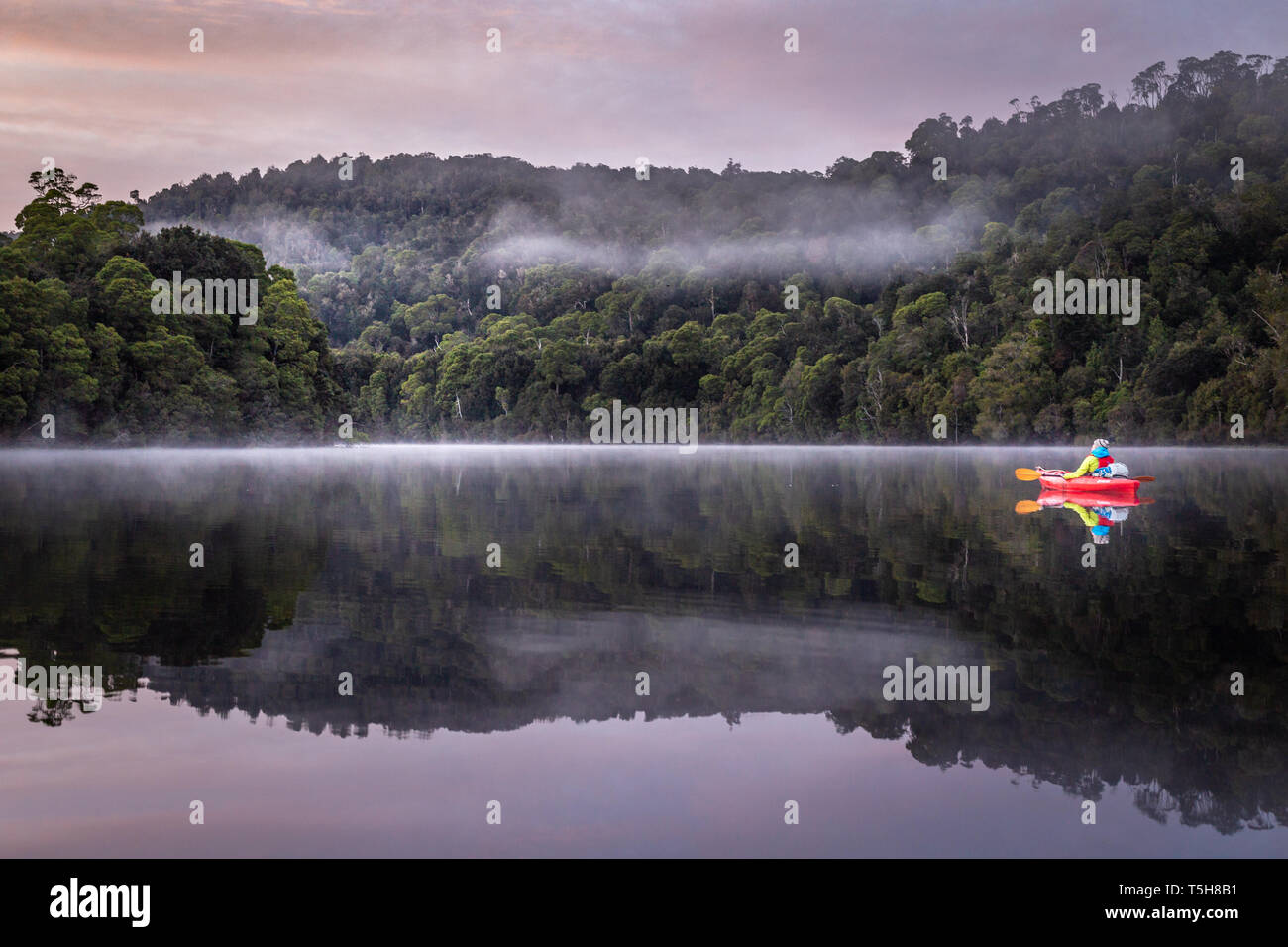 Single kayaker paddling down a still river at sunrise, through mountains and rainforest with beautiful reflections in the water Stock Photo